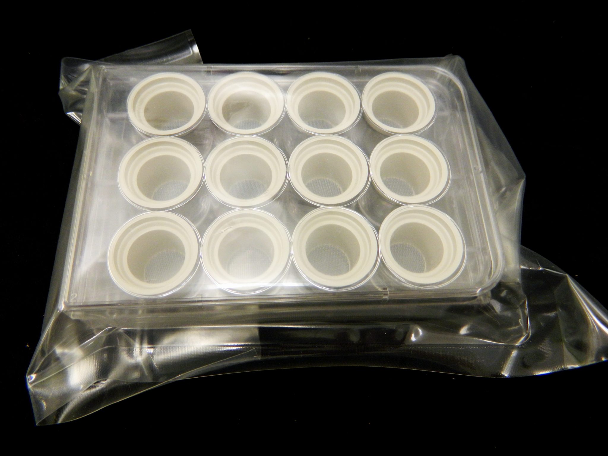 Section incubation plate with 12 inserts FD Neuro Technologies, Inc.